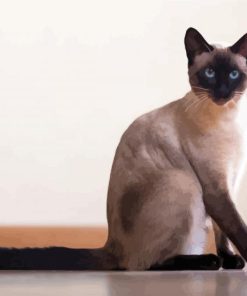 Cute siamese paint by numbers