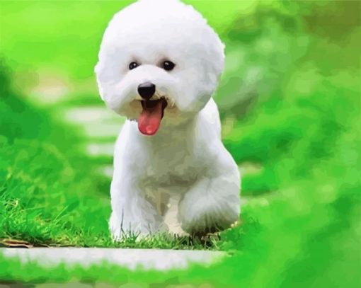 Cute Bichon Puppy paint by numbers