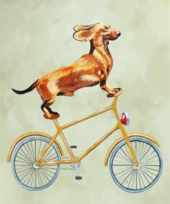 Cyclist Dachshund paint by numbers