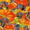 Dachshund And Pumpkin paint by numbers