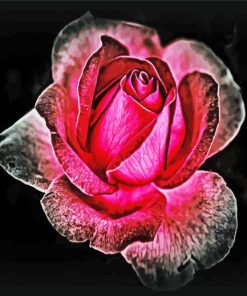 Dark Velvet Rose paint by numbers
