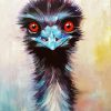 Emu Bird Art paint by number