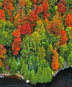 England Fall Foliage paint by numbers