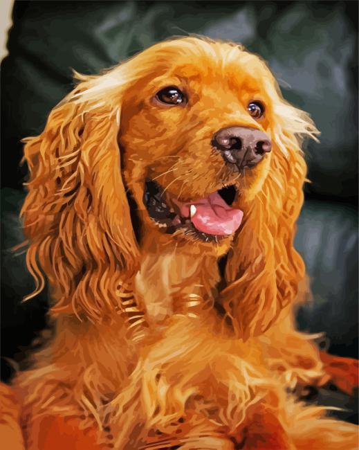 English Cocker Spaniel paint by number paint by numbers