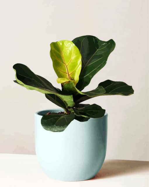 Fiddle Leaf Fig Plant Pot paint by numbers