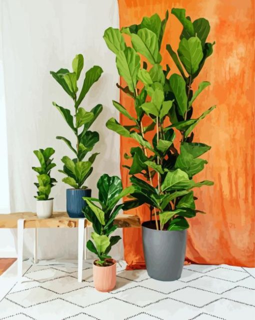 Fiddle Leaf Fig Plant paint by number