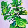Fiddle Leaf Fig paint by number