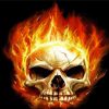 Fire Skull Head paint by numbers