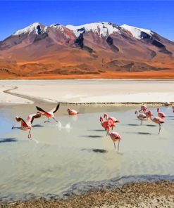 Flamingos In Bolivia paint by number