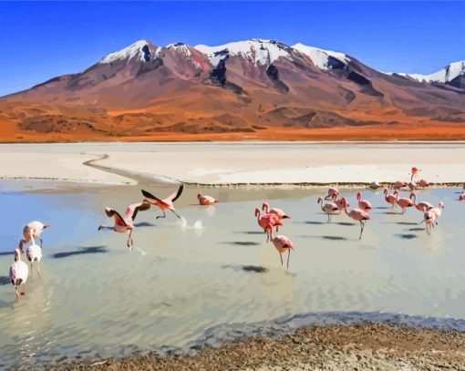 Flamingos In Bolivia paint by number
