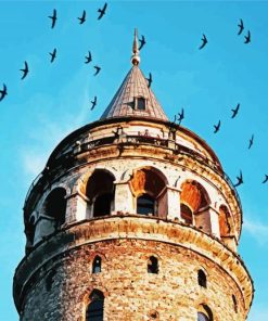 Galata Tower Surounded By Birds paint by numbers