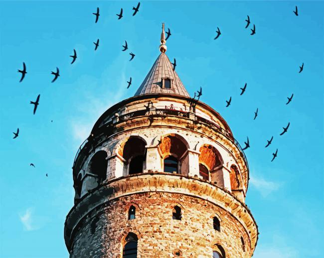 Galata Tower Surounded By Birds paint by numbers