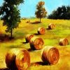 Golden Bay Bales Art paint by numbers