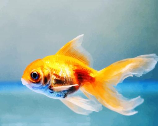 Goldfish Swimming paint by number