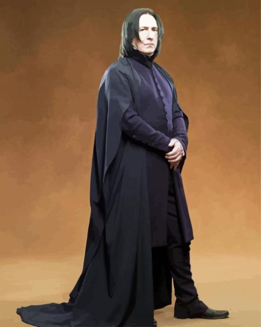 Harry Potter Snape paint by numbers