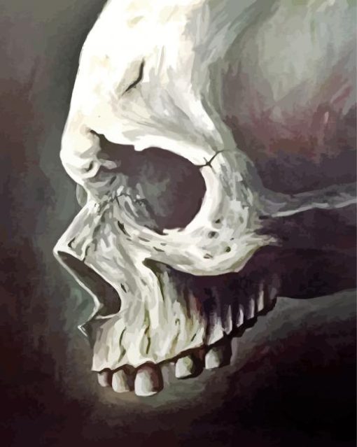 Head Bones paint by number