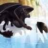How To Train Your Dragon And Orca paint by number
