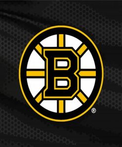 Ice Hockey Bruins Logo paint by numbers