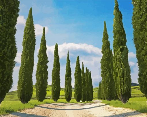 Italian Cypress Trees paint by numbers