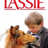 Joe And Lassie Dog paint by numbers