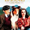 Lassie Come Home Posterpaint by numbers