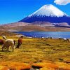 Lauca National Park paint by number