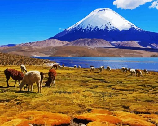 Lauca National Park paint by number