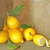 Lemons Fruit paint by numbers
