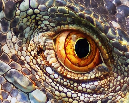 Lizard Eye paint by number