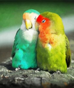 Lovebirds Parrots paint by numbers