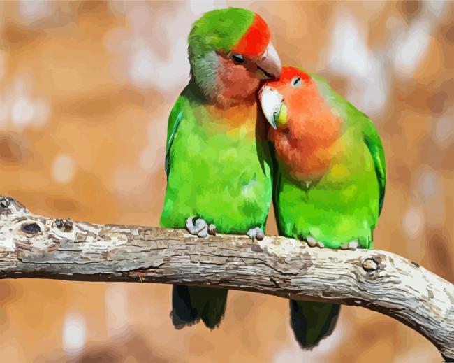 Lovely Lovebirds paint by numbers