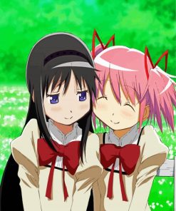 Madoka Kaname And Homura Akemi paint by numbers paint by numbers