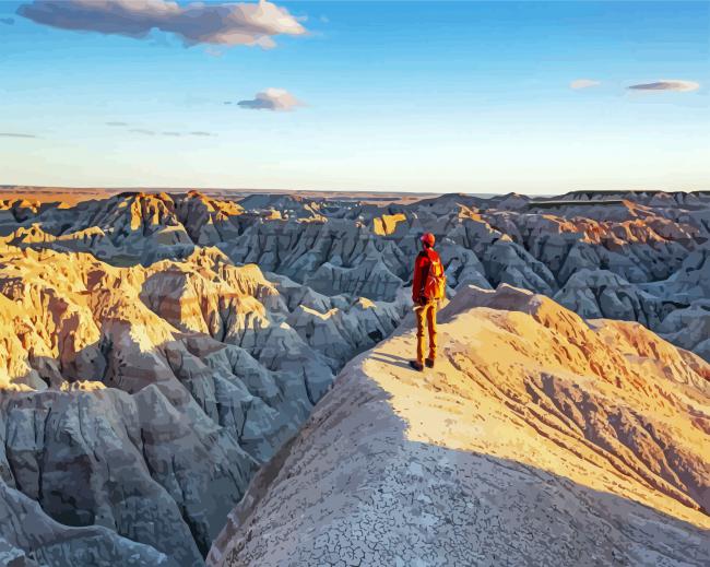 Man On The Top Of Badlands National Park paint by numbers