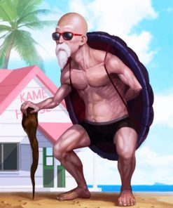 Master Roshi paint by numbers