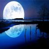 Moonlight Reflection paint by number