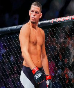 Nate Diaz paint by numbers
