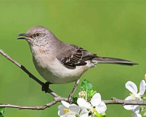 Northern Mockingbird On Stick paint by number