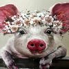 Pig With Flowers paint by number