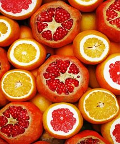 Pomegrante And Orange Citrus paint by numbers