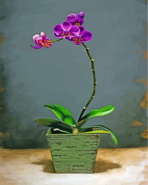 Purple Orchid paint by numbers