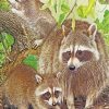 Raccoon Family paint by numbers
