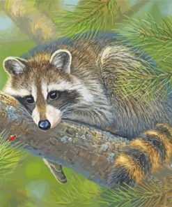 Raccoon On Tree paint by numbers