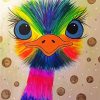 Rainbow Emu Bird paint by number