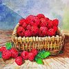Raspberries Basket paint by number