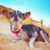 Rat Terrier At The Top Of A Hill paint by number