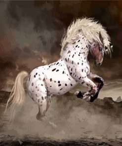 Rearing Appaloosa Horse paint by numbers