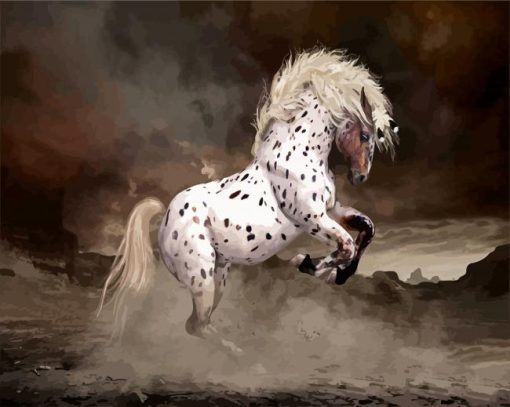 Rearing Appaloosa Horse paint by numbers