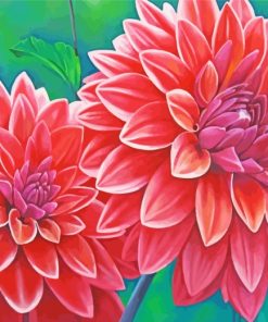 Red Blooming Dahlias paint by numbers