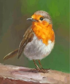 Robin Bird Art paint by numbers