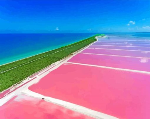 Saltwater Lagoon Bonaire Island paint by number